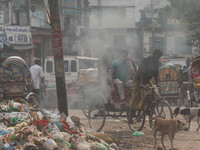 People face significant challenges while crossing the street due to air pollution, which adversely affects their health and daily lives in D...