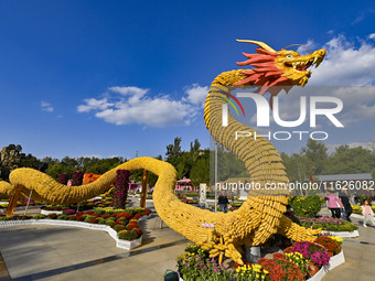 Tourists view a ''golden dragon'' made of corn on the cob at Jiulongyu scenic spot in Qingzhou, China, on October 1, 2024. (