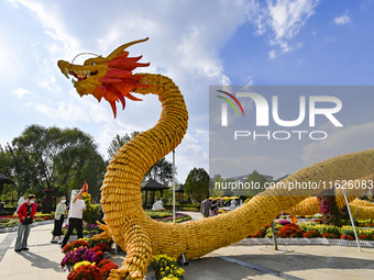 Tourists view a ''golden dragon'' made of corn on the cob at Jiulongyu scenic spot in Qingzhou, China, on October 1, 2024. (