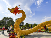 Tourists view a ''golden dragon'' made of corn on the cob at Jiulongyu scenic spot in Qingzhou, China, on October 1, 2024. (