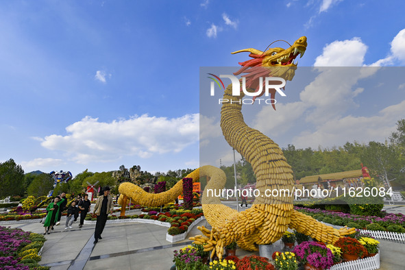 Tourists view a ''golden dragon'' made of corn on the cob at Jiulongyu scenic spot in Qingzhou, China, on October 1, 2024. 