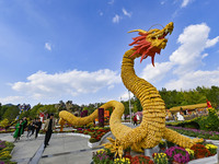 Tourists view a ''golden dragon'' made of corn on the cob at Jiulongyu scenic spot in Qingzhou, China, on October 1, 2024. (