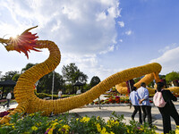 Tourists view a ''golden dragon'' made of corn on the cob at Jiulongyu scenic spot in Qingzhou, China, on October 1, 2024. (