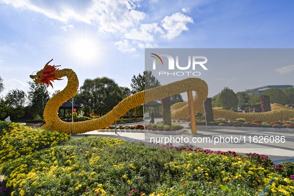 Tourists view a ''golden dragon'' made of corn on the cob at Jiulongyu scenic spot in Qingzhou, China, on October 1, 2024. 