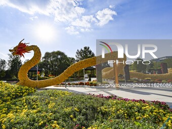 Tourists view a ''golden dragon'' made of corn on the cob at Jiulongyu scenic spot in Qingzhou, China, on October 1, 2024. (