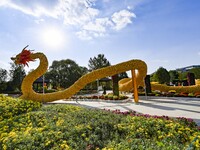 Tourists view a ''golden dragon'' made of corn on the cob at Jiulongyu scenic spot in Qingzhou, China, on October 1, 2024. (