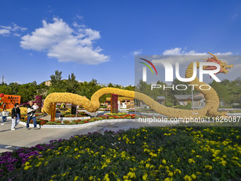 Tourists view a ''golden dragon'' made of corn on the cob at Jiulongyu scenic spot in Qingzhou, China, on October 1, 2024. (