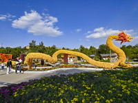 Tourists view a ''golden dragon'' made of corn on the cob at Jiulongyu scenic spot in Qingzhou, China, on October 1, 2024. (