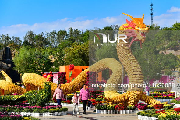 Tourists view a ''golden dragon'' made of corn on the cob at Jiulongyu scenic spot in Qingzhou, China, on October 1, 2024. 