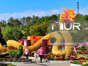 Tourists view a ''golden dragon'' made of corn on the cob at Jiulongyu scenic spot in Qingzhou, China, on October 1, 2024. (