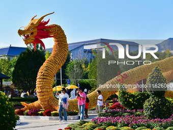 Tourists view a ''golden dragon'' made of corn on the cob at Jiulongyu scenic spot in Qingzhou, China, on October 1, 2024. (