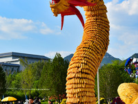 Tourists view a ''golden dragon'' made of corn on the cob at Jiulongyu scenic spot in Qingzhou, China, on October 1, 2024. (