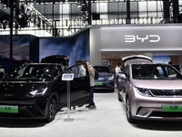 People visit the BYD booth at the 2024 Hefei International New Energy Vehicle Exhibition in Hefei, China, on October 1, 2024. (