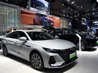 People visit the 2024 Hefei International New Energy Vehicle Exhibition in Hefei, China, on October 1, 2024. (