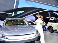 People visit the 2024 Hefei International New Energy Vehicle Exhibition in Hefei, China, on October 1, 2024. (