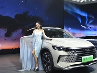 People visit the 2024 Hefei International New Energy Vehicle Exhibition in Hefei, China, on October 1, 2024. (