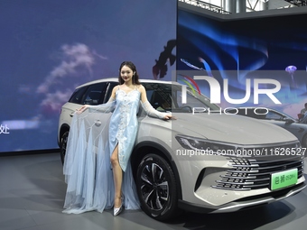 People visit the 2024 Hefei International New Energy Vehicle Exhibition in Hefei, China, on October 1, 2024. (