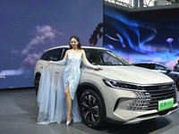 People visit the 2024 Hefei International New Energy Vehicle Exhibition in Hefei, China, on October 1, 2024. (