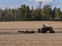 A farmer tills a soybean field after harvesting in Markham, Ontario, Canada, on September 30, 2024. (