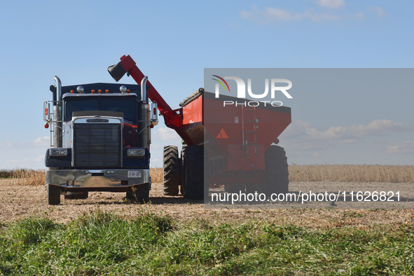 A farmer harvests soybeans in Markham, Ontario, Canada, on September 30, 2024. 