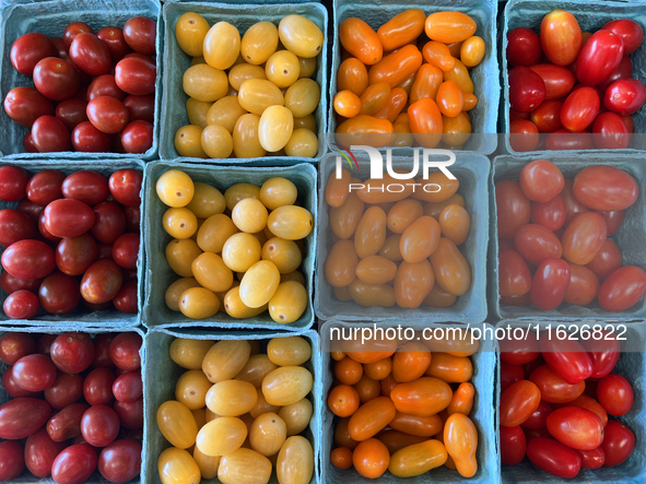 Assorted colorful cherry tomatoes are for sale at a farmers market in Markham, Ontario, Canada, on September 30, 2024. 