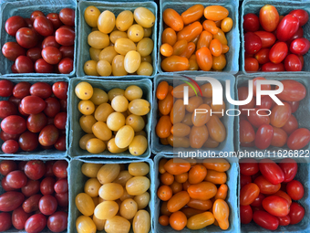 Assorted colorful cherry tomatoes are for sale at a farmers market in Markham, Ontario, Canada, on September 30, 2024. (