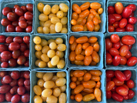 Assorted colorful cherry tomatoes are for sale at a farmers market in Markham, Ontario, Canada, on September 30, 2024. (