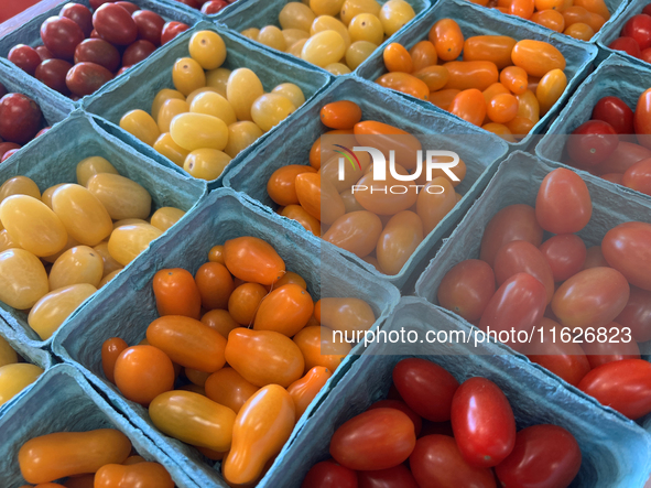 Assorted colorful cherry tomatoes are for sale at a farmers market in Markham, Ontario, Canada, on September 30, 2024. 