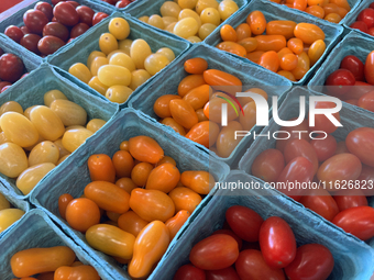 Assorted colorful cherry tomatoes are for sale at a farmers market in Markham, Ontario, Canada, on September 30, 2024. (