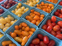 Assorted colorful cherry tomatoes are for sale at a farmers market in Markham, Ontario, Canada, on September 30, 2024. (