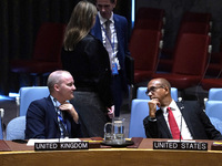 Fergus Eckersley, Minister Counsellor, at the Security Council meeting on the situation in Libya and Robert A. Wood US Representative to the...