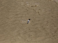 A Nepali passenger traveling through the BP Highway, a major highway that connects Kathmandu directly with the Southern Plains of Nepal, wad...