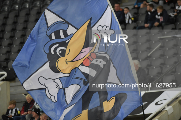 Newcastle United's flags during the Carabao Cup Third Round match between Newcastle United and AFC Wimbledon at St. James's Park in Newcastl...