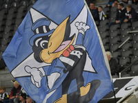 Newcastle United's flags during the Carabao Cup Third Round match between Newcastle United and AFC Wimbledon at St. James's Park in Newcastl...