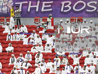 Al Ain FC supporters cheer for their team during the AFC Champions League elite west football match between Qatar's Al Gharafa SC and United...