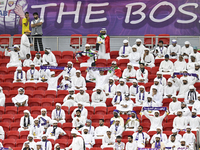 Al Ain FC supporters cheer for their team during the AFC Champions League elite west football match between Qatar's Al Gharafa SC and United...