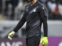 Sergio Rico of Al Gharafa SC plays during the AFC Champions League elite west football match between Qatar's Al Gharafa SC and United Arab E...