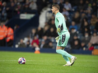 West Bromwich Albion goalkeeper Alex Palmer during the Sky Bet Championship match between West Bromwich Albion and Middlesbrough at The Hawt...