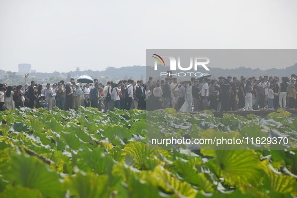 A large number of tourists visit the West Lake in Hangzhou, China, on October 2, 2024. 