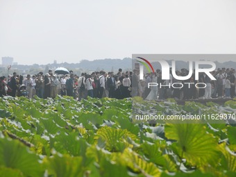 A large number of tourists visit the West Lake in Hangzhou, China, on October 2, 2024. (