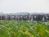 A large number of tourists visit the West Lake in Hangzhou, China, on October 2, 2024. (