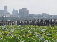 A large number of tourists visit the West Lake in Hangzhou, China, on October 2, 2024. (