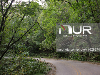 Storm damage from Hurricane Helene is seen in Asheville, North Carolina on October 1, 2024. (