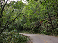 Storm damage from Hurricane Helene is seen in Asheville, North Carolina on October 1, 2024. (