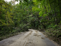 Storm damage from Hurricane Helene is seen in Asheville, North Carolina on October 1, 2024. (