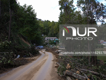 Storm damage from Hurricane Helene is seen in Asheville, North Carolina on October 1, 2024. (