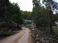 Storm damage from Hurricane Helene is seen in Asheville, North Carolina on October 1, 2024. (