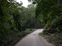 Storm damage from Hurricane Helene is seen in Asheville, North Carolina on October 1, 2024. (