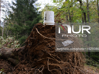 Storm damage from Hurricane Helene is seen in Asheville, North Carolina on October 1, 2024. (