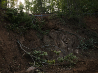 Storm damage from Hurricane Helene is seen in Asheville, North Carolina on October 1, 2024. (